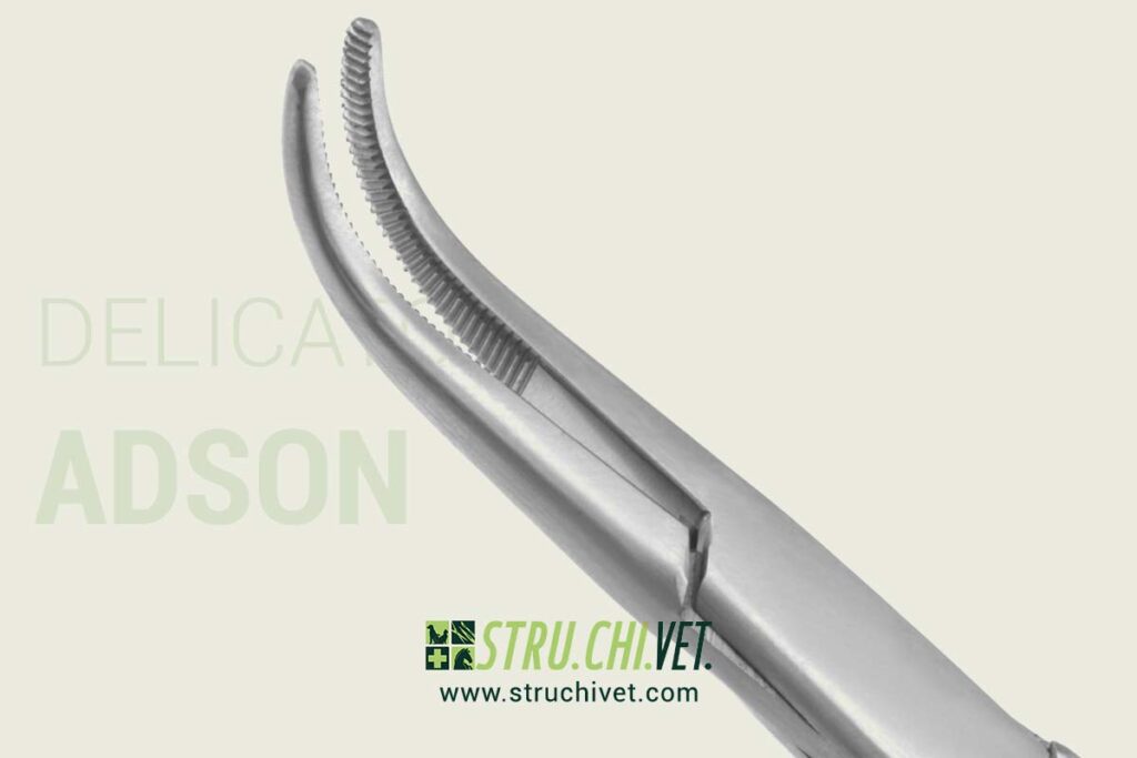 Adson Pinza Emostatica con Punta Curvata