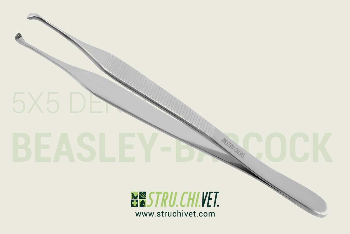 Beasley-Babcock Pinzetta con 5x5 Denti