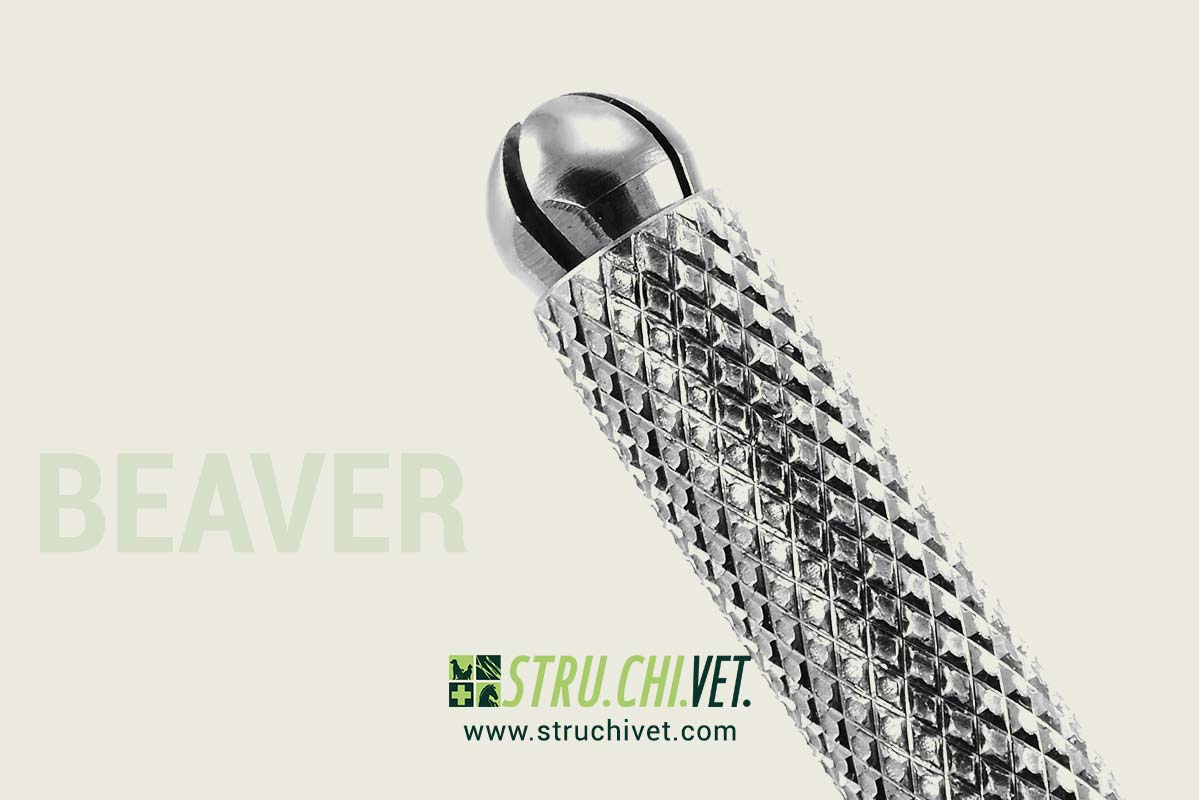 Beaver-knife-Round-Handle-02