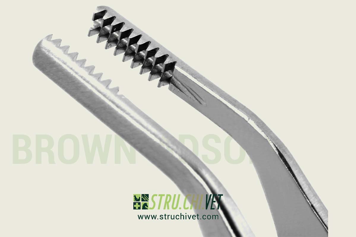 Brown-Adson Pinza per Dissezione/ Tessuti con 9x9 Denti Morsetto Angolato