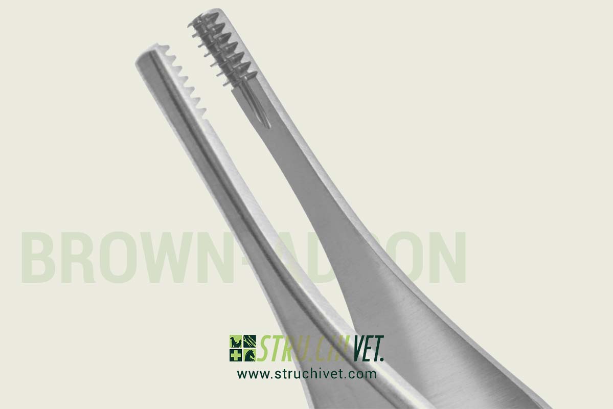 Brown-Adson Pinza per Dissezione/ Tessuti con 9x9 Denti Morsetto Dritto