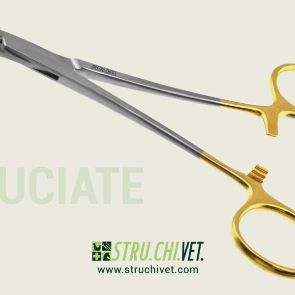 Cruciate Porta Aghi Carburo di Tungsteno Dentellata