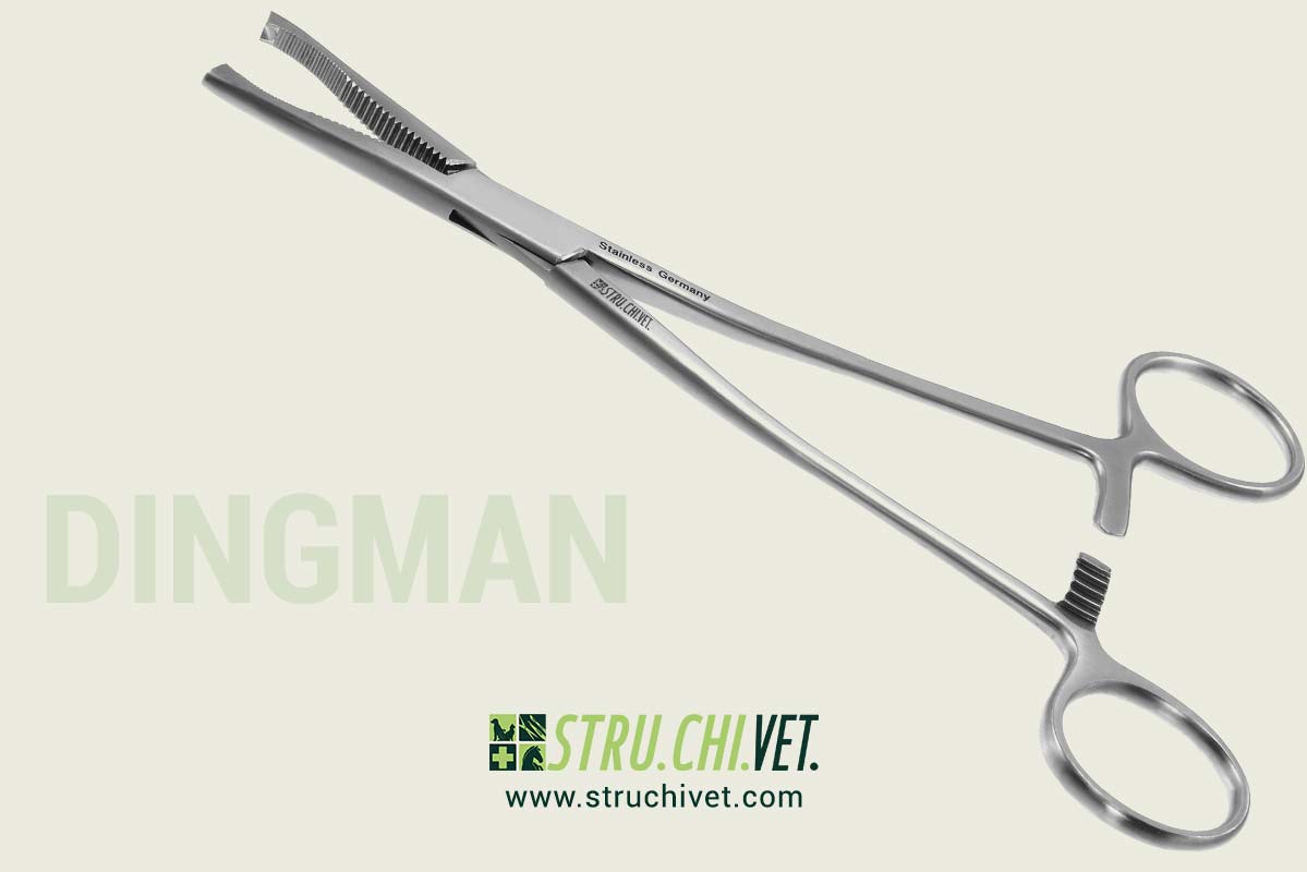 Dingmann-Pinza-per-Tenere-le-Ossa-Presa-Delicata-01