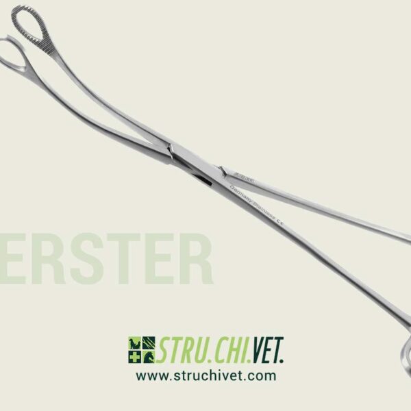 Foerster Pinza per Spugna Morsetto Curvo