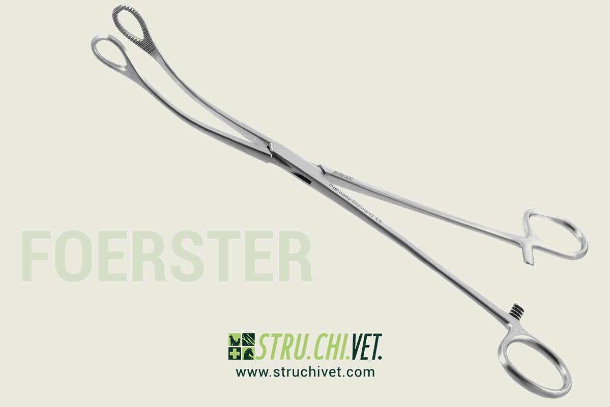 Foerster Pinza per Spugna Morsetto Curvo