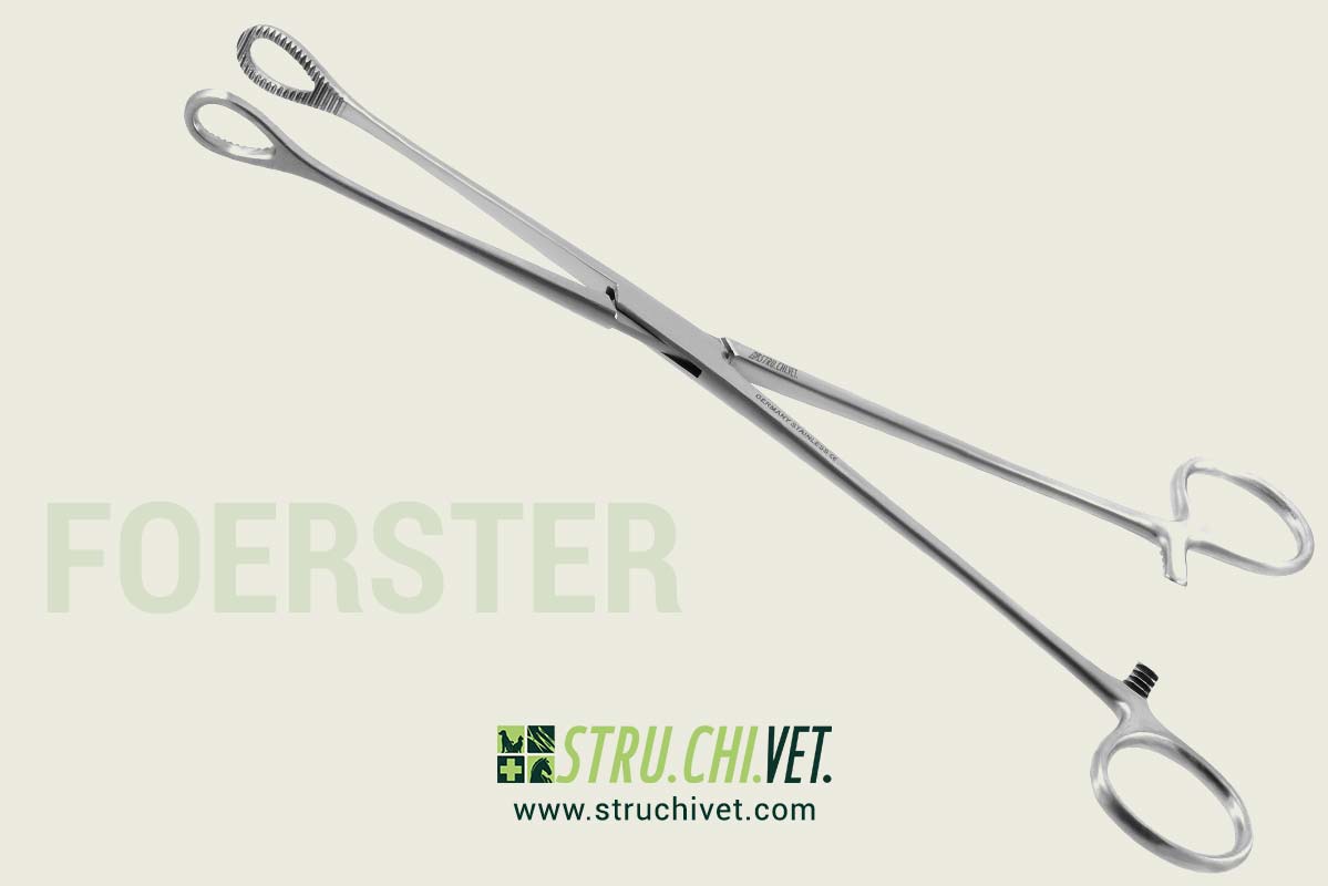 Foerster Pinza per Spugna Morsetto Dritto