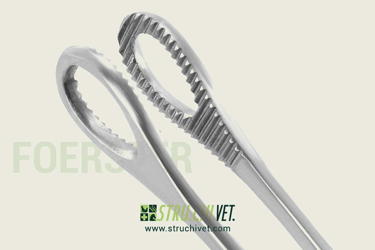 Foerster Pinza per Spugna