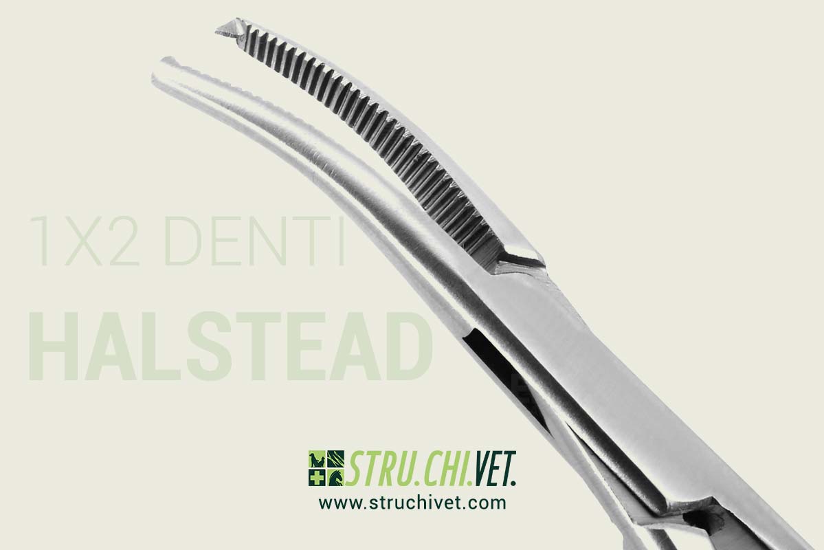 Halsted Pinza Mosquito Emostatica 1x2 Denti Presa Curvata