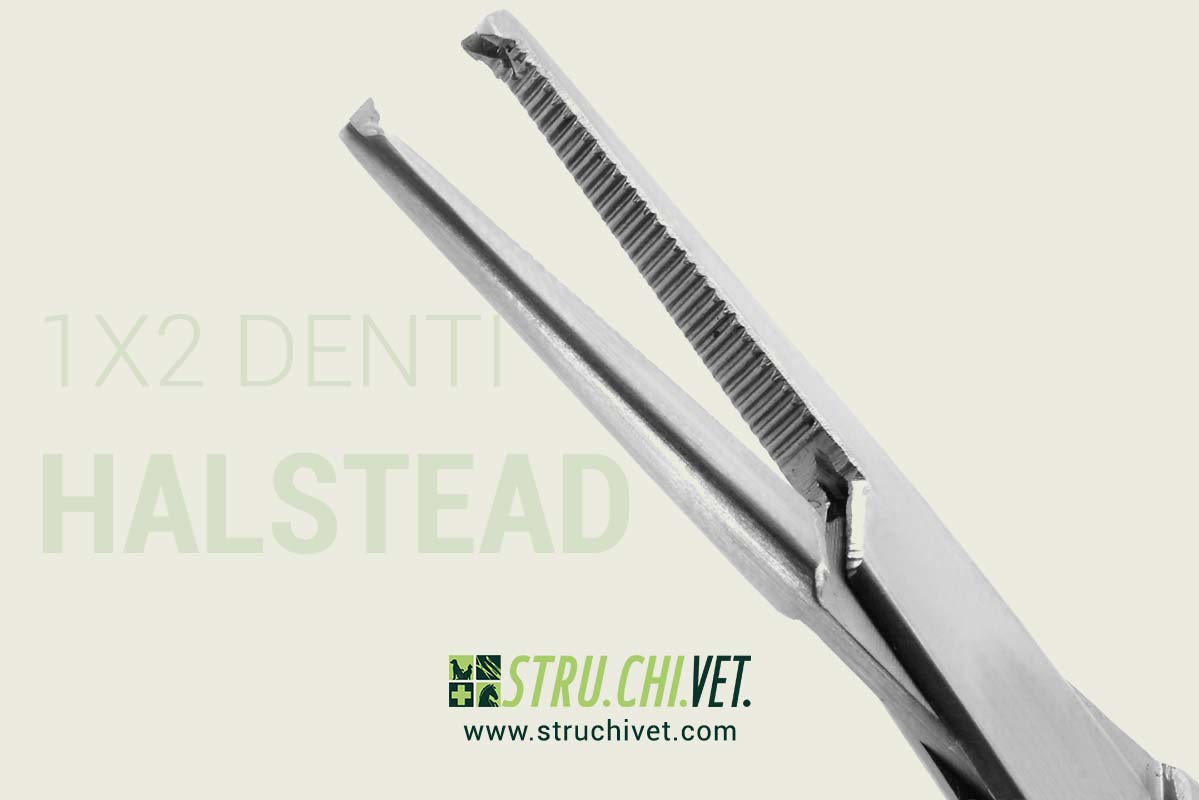 Halsted Pinza Mosquito Emostatica 1x2 Denti Presa Dritta