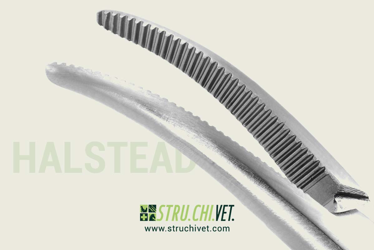 Halstead-Pinza-Mosquito-Emostatica-Presa-Curvata-02