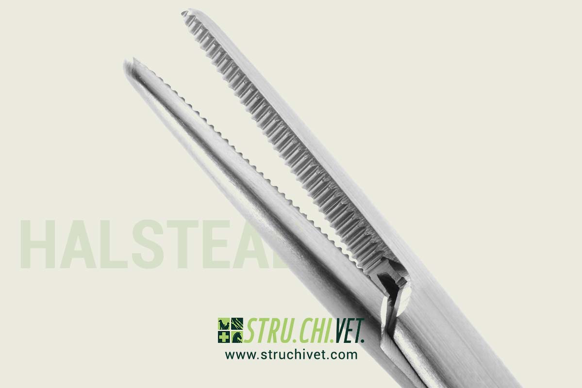 Halstead-Pinza-Mosquito-Emostatica-Presa-Dritta-02