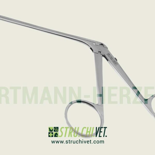 Hartmann-Herzfeld Pinze Orecchiale con 2.0mm Morso Verso Alto
