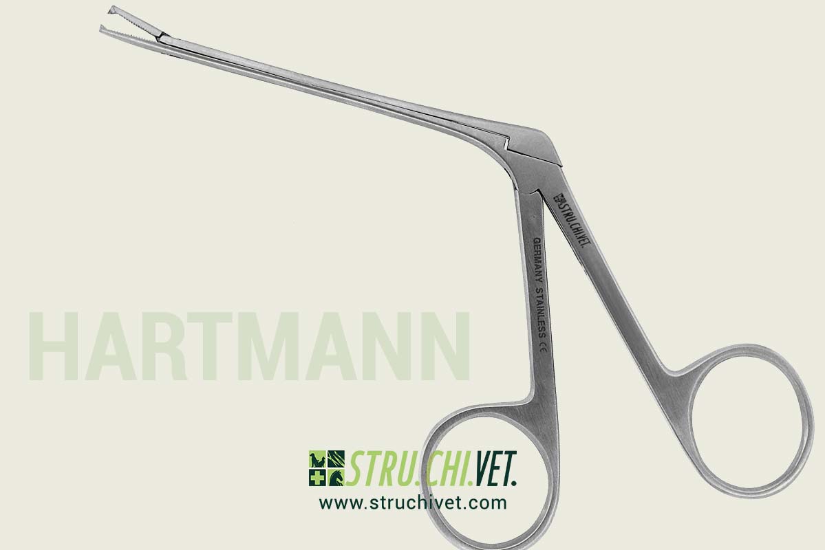 Hartmann Pinze Orecchiale con l'asta Corta e 1x2 Denti