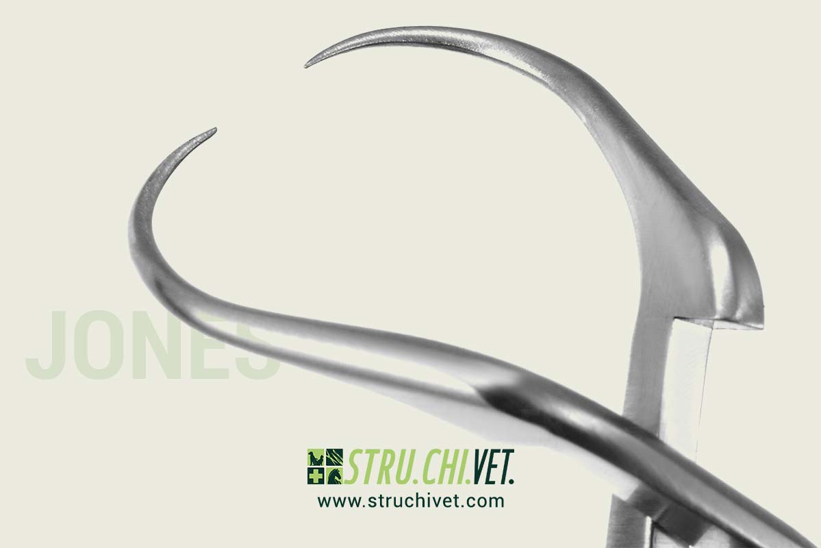 Jones Pinza per Tenere l'asciugamano con Morsetto a Croce