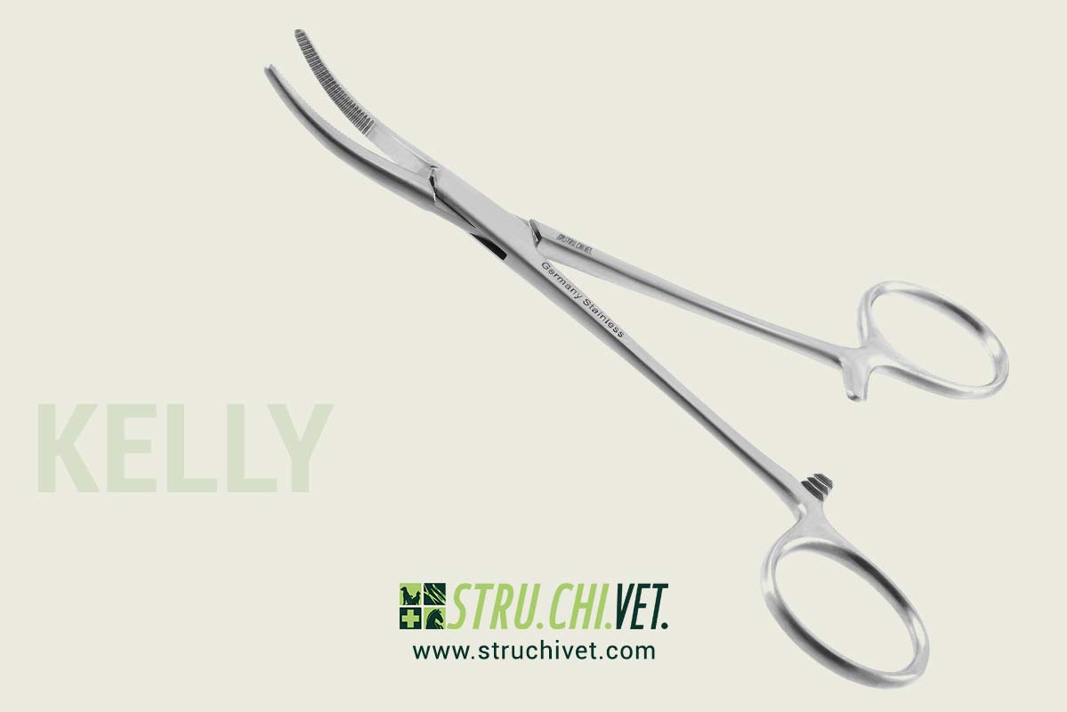 Kelly Pinza Emostatica per Arterie Presa Curvata