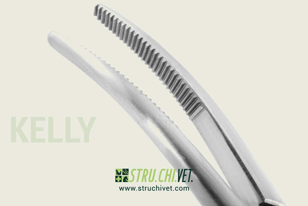 Kelly Pinza Emostatica per Arterie Presa Curvata