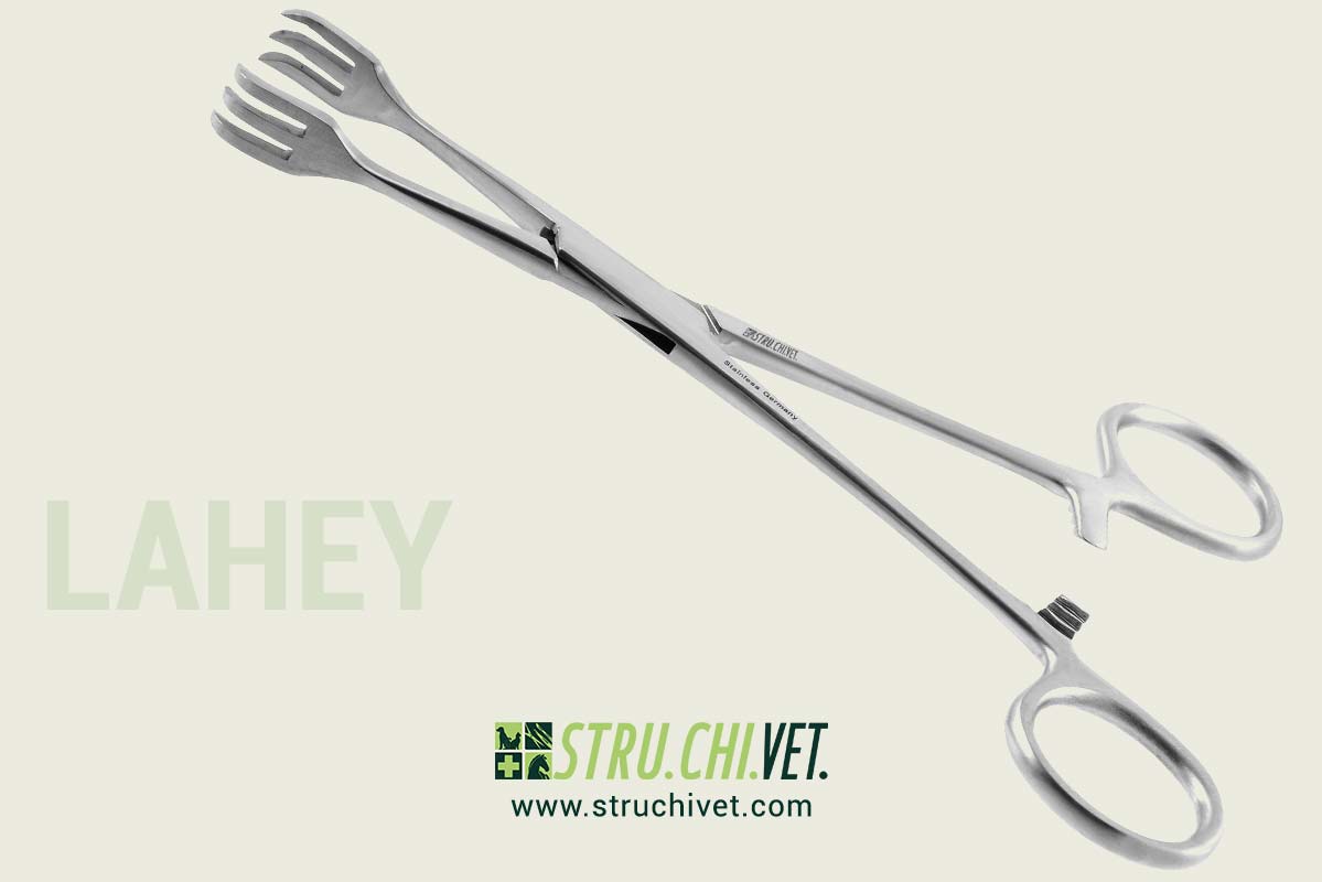 Lahey Pinza Gozzo Vulsellum con 3x3 Punt