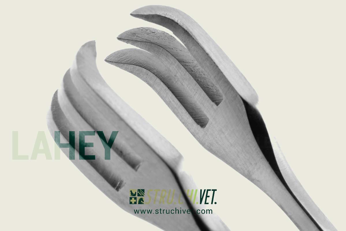 Lahey Pinza Gozzo Vulsellum con 3x3 Punt