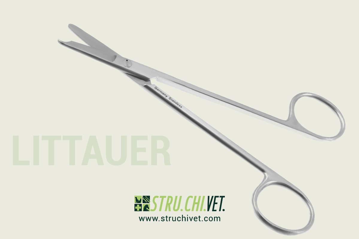 Littauer Sutura Forbice Standard Taglio Lame Dritte