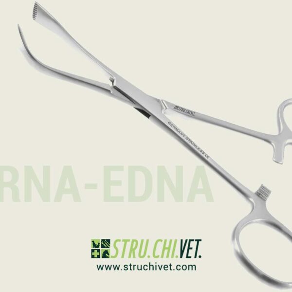 Lorna-Edna-Pinza-per-Asciugamani-non-Perforante-01