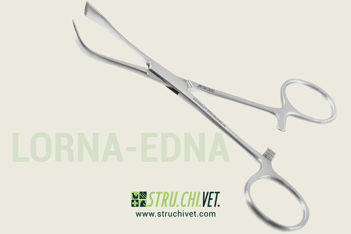 Lorna-Edna-Pinza-per-Asciugamani-non-Perforante-01