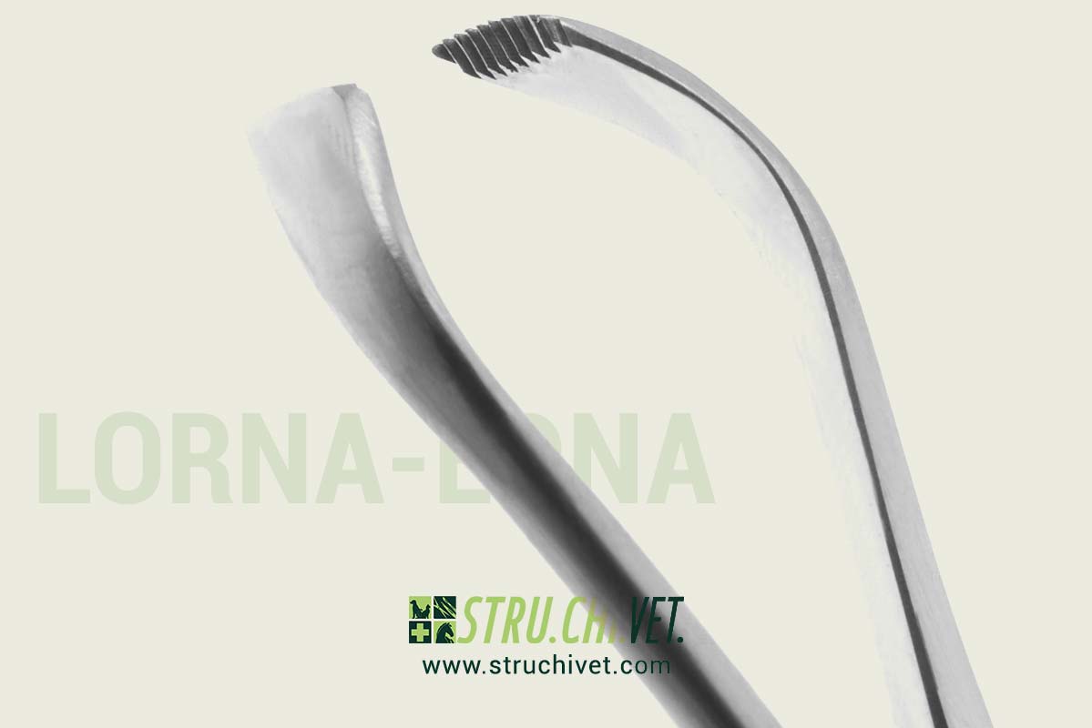 Lorna-Edna-Pinza-per-Asciugamani-non-Perforante-02