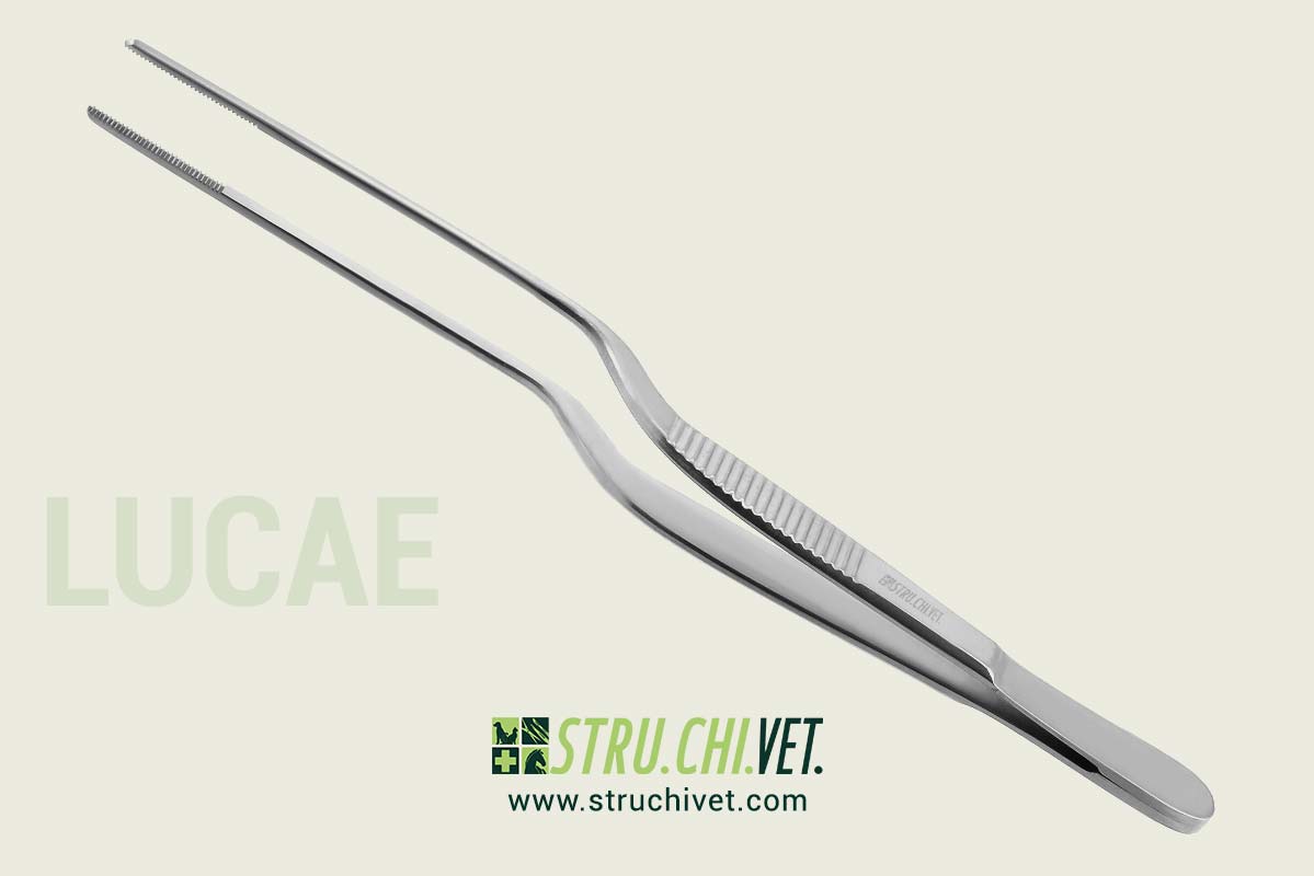 Lucae-Pinzetta-Chirurgica-2.0x15mm-01
