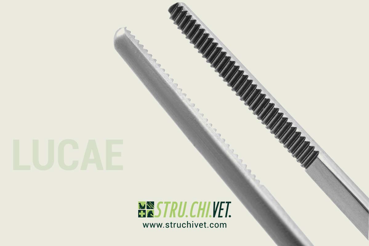 Lucae-Pinzetta-Chirurgica-2.0x15mm-02