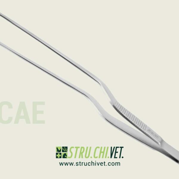 Lucae-Pinzetta-Chirurgica-2.5x19mm-01