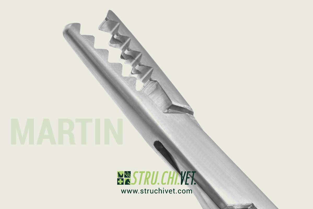 Martin-Pinza-per-Cartilagine-02