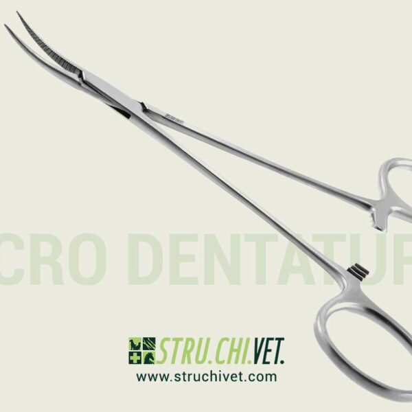 Micro-Dentatura-Extra-Delicato-Presa-Curvata-01