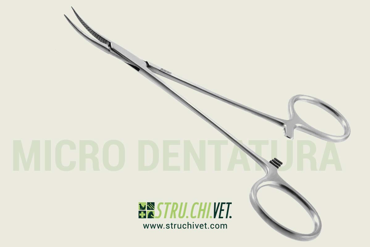 Micro-Dentatura-Extra-Delicato-Presa-Curvata-01