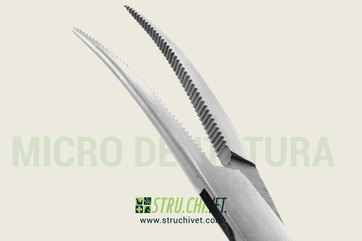 Micro-Dentatura-Extra-Delicato-Presa-Curvata-02