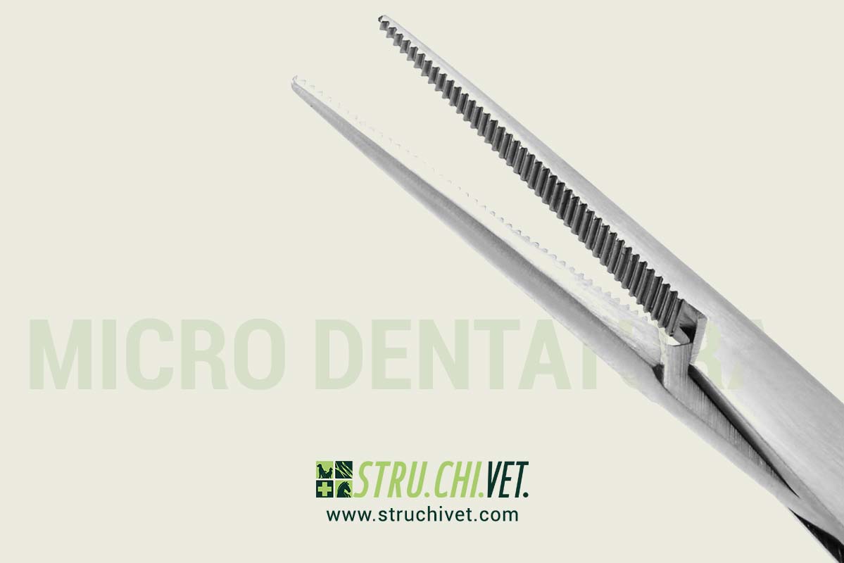 Micro-Dentatura-Extra-Delicato-Presa-Dritta-02