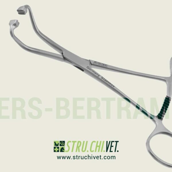 Peers-Bertram--Pinza-per-Asciugamani-01