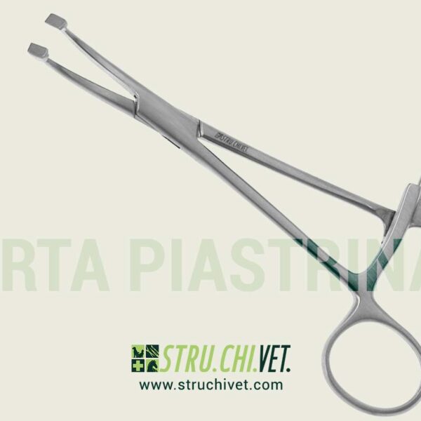 Pinza per Tenere la Piastrina