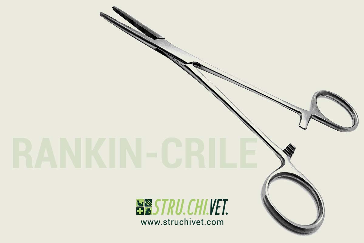 Rankin-Crile-Pinza-Emostatica-per-Arterie-Presa-Dritta-01