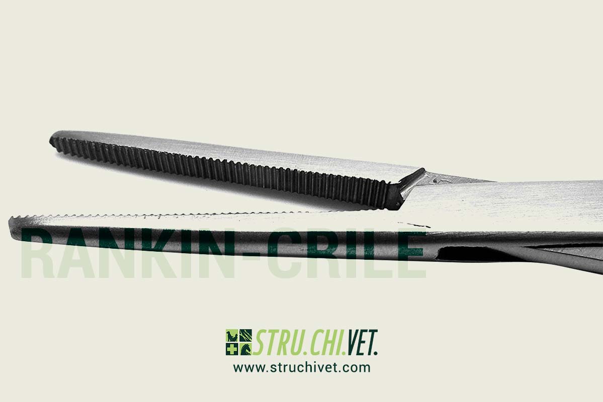 Rankin-Crile-Pinza-Emostatica-per-Arterie-Presa-Dritta-02