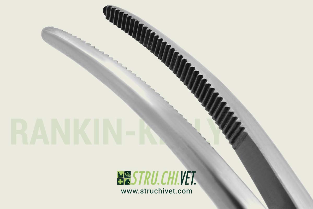 Rankin-Kelly-Pinza-Emostatica-per-Arterie-Presa-Curvata-02