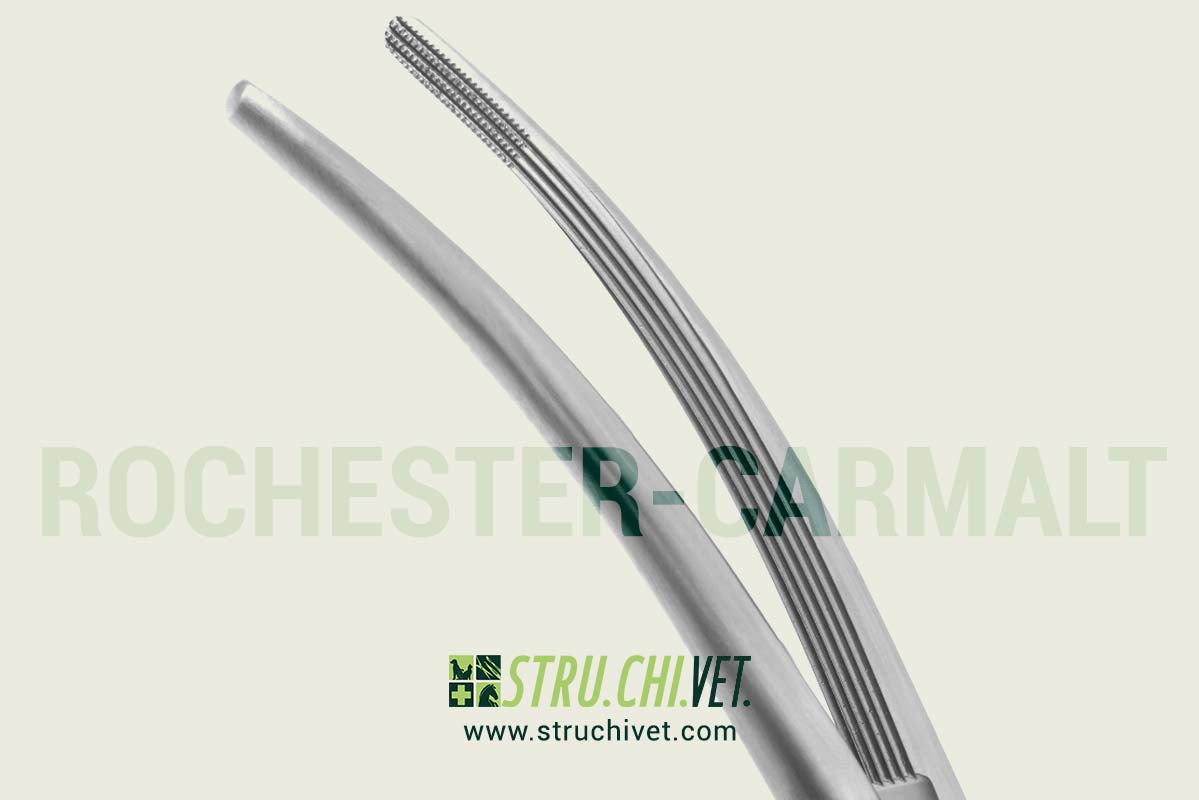 Rochester-Carmalt Pinza Arteria con Punta Curvata