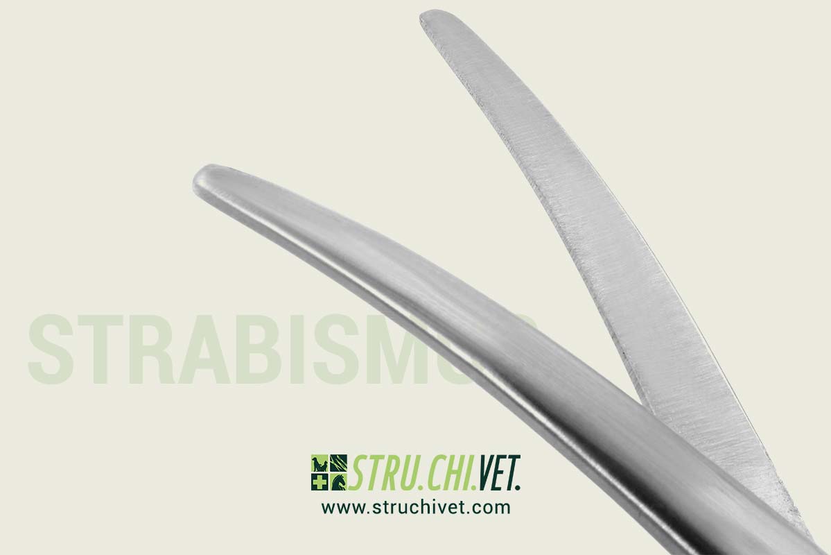 Strabismus-Forbice-Standard-Taglio-Lame-Curve-02