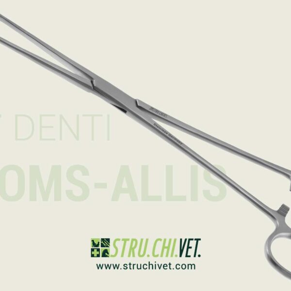 Thoms-Allis--Pinza-con-6x7-Denti-01