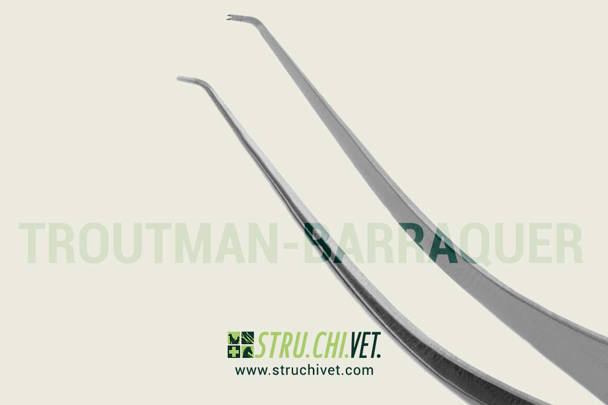 Troutman-Barraquer Pinzetta Corneale per Colibri con 0.12mm 1x2 Denti