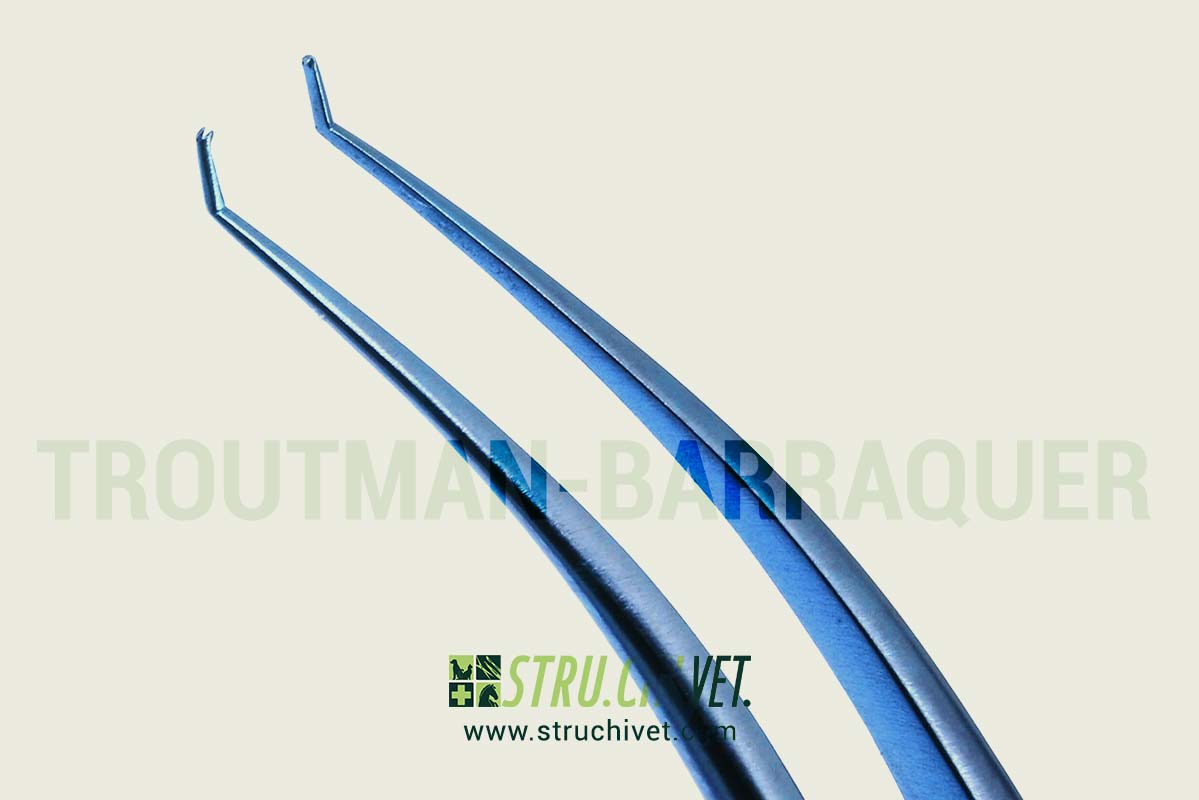Troutman-Barraquer Pinzetta Corneale per Colibri con 0.12mm 1x2 Denti Titanio