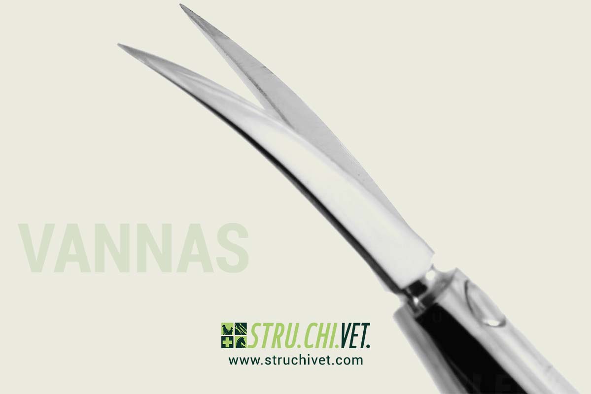 Vannas-Forbici-Capsulotomia-Standard-Lame-Curvate-Con-Puntate-02
