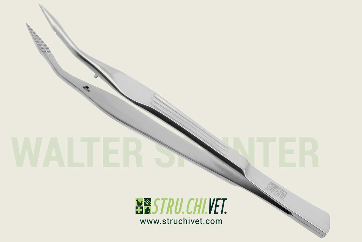 Walter Pinzetta per Schegge Punta Angolata