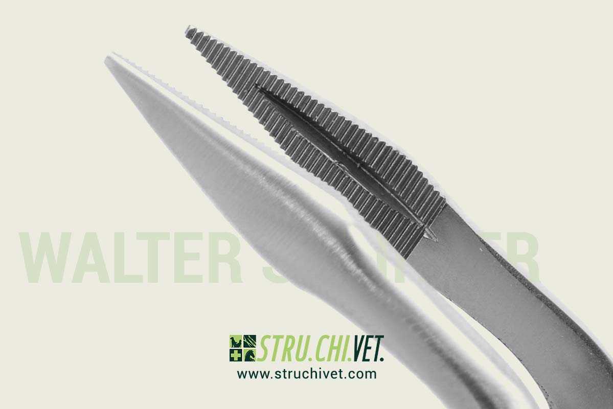 Walter Pinzetta per Schegge Punta Angolata