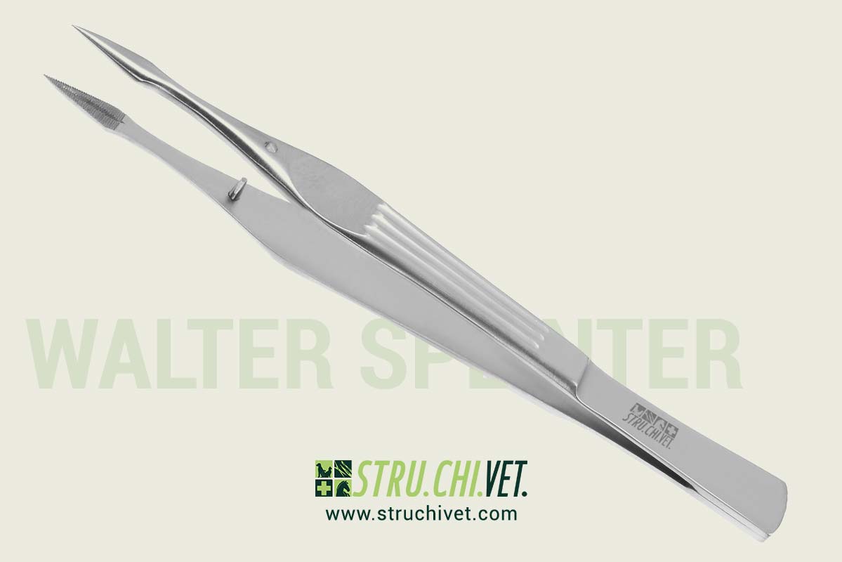 Walter Pinzetta per Schegge Punta Dritta