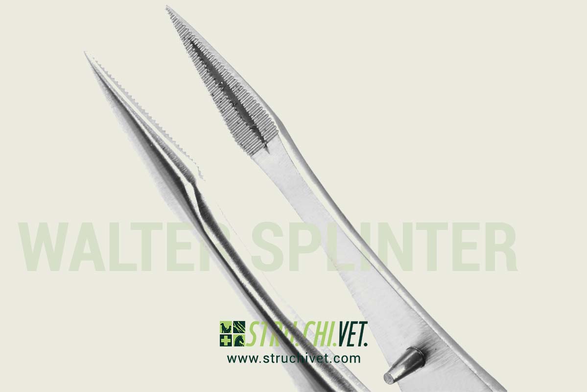 Walter Pinzetta per Schegge Punta Dritta