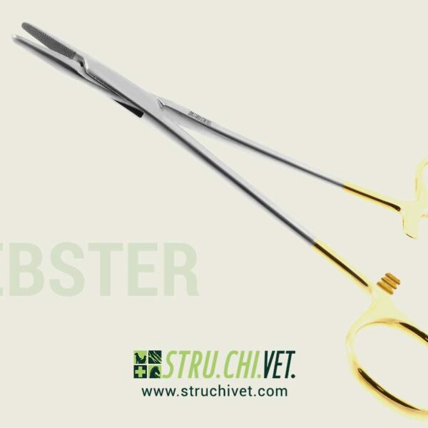 Webster Porta Aghi Carburo di Tungsteno Superficie Dentellata